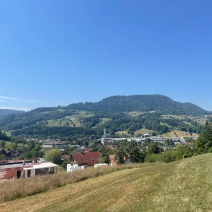 Traumhaftes Baugrundstück in Scheibbs - Schaffe dein eigenes Zuhause in Niederösterreich! - Bild 3