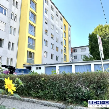 Helle 3-Zimmer Wohnung in zentraler Lage - Bild 2