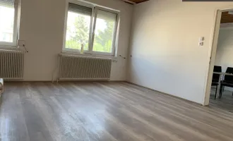 * HAUS  MIT GARTEN UND TERASSE * IN WR. NEUDORF * FRISCH RENOVIERTE WOHNUNGEN