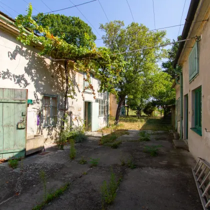 Zum Verlieben: Altes Winzerhaus auf herrlichem Baugrund mit großem Erweiterungspotential - Neubau oder Sanierung? - Bild 3