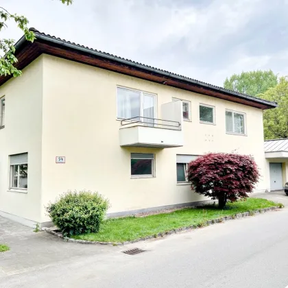 Einfamilienhaus mit eigener Büro-/Praxisfläche Nähe Plainstraße - Bild 3