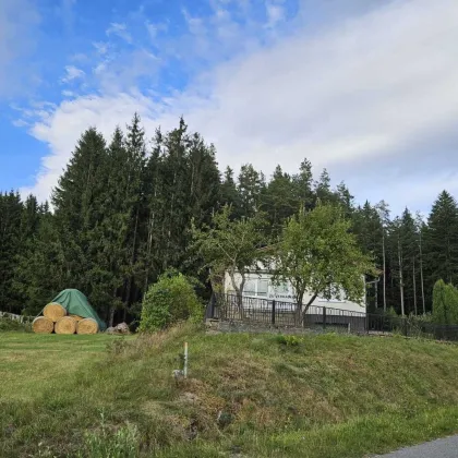 EFH mit Potential und sehr großer Garage mit Lagerraum in der Kurgemeinde Moorbad Harbach (Oldtimerliebhaber o. Schrauber)!! - Bild 2