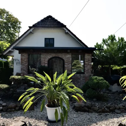 EFERDING-PUPPING: Ihre zukünftige Wohlfühloase mit Charme und Stil! Einzigartiges Landhaus mit Naturpool, Wintergarten, Gartenidylle und noch vieles mehr… - Bild 3