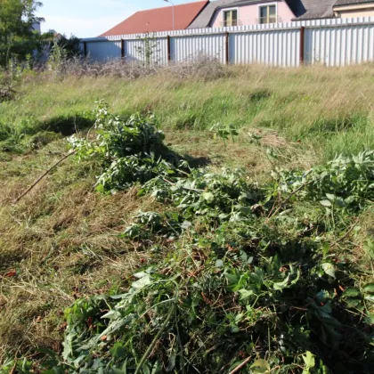 Herrliches Grundstück im Zentrum Loimersdorfs mit vielfältigen Nutzungsmöglichkeiten - Bild 2