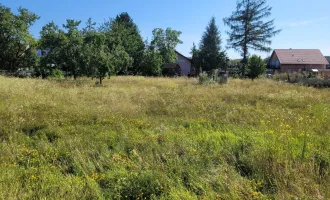 Großer Baugrund in Rohrendorf bei Krems