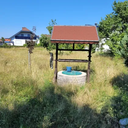 Großer Baugrund in Rohrendorf bei Krems - Bild 3