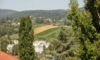 WEINBERGE und WIENBLICK: Schöner können Sie nicht wohnen!