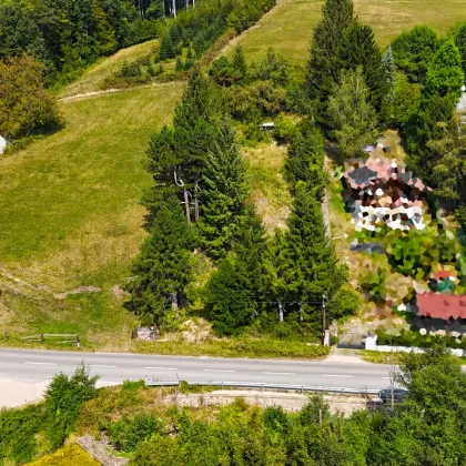 Ein wahres Paradies: Zwei Baugrundstücke in Klosterneuburg, 1626 m² Eigengrund! - Bild 2