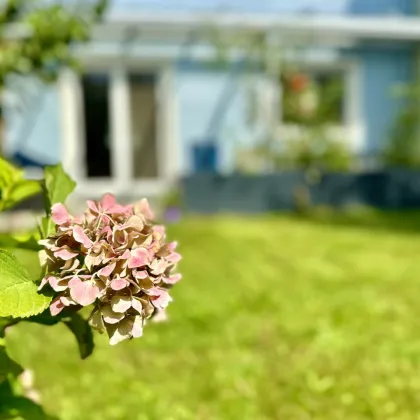 Leben in Gerasdorf bei Wien - 4 Zimmer Reihenhaus mit Garten und Stellplätzen - Bild 2