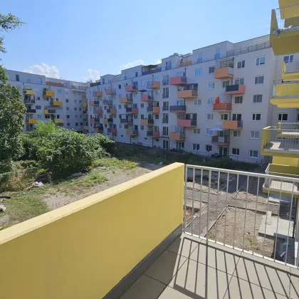 ERSTBEZUG mit KAUFOPTION - 4-Zimmer-Mietwohnungen (Ecke / Grünblick) mit Balkon / Terrasse & Parkplatz-Option nahe Merkur City (BEISPIEL-Fotos Top 16) - Bild 3