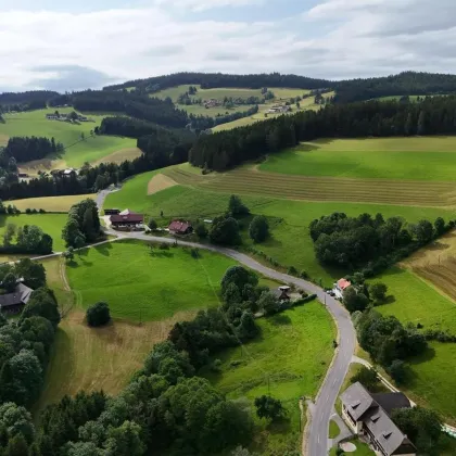 Provisionsfrei! Großzügiges Familienhaus, auch für 2 Familien bzw. Mehrgenerationenhaus geeignet! Natur pur! - Bild 3