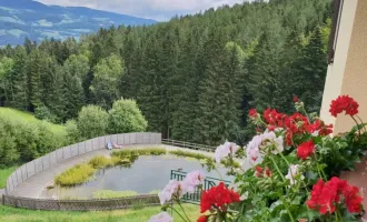 NATUR PUR-traumhaft schöne Aussichtslage, barrierefreie Hausetage, Naturschwimmteich/ Wellnessoase 3 Zimmer mit 2 Balkone, Garten, Garage und Parkplatz-Pöllauertal