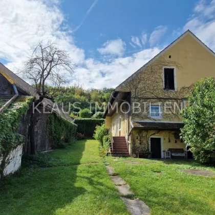 Stadt Krems - Hollenburg - liebevoll erhaltenes Winzerhaus - Bild 2