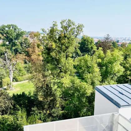 Edles Dachgeschoss-Domizil auf zwei Ebenen im klassischen Altbau mit Grünblick - Bild 2