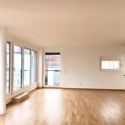 1190! Schöne 4-Zimmer Wohnung mit riesiger Terrasse und Balkon AUF EINER EBENE ab Jänner 25! - Bild 2