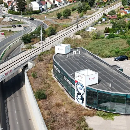 Neuwertiges und modernes Gewerbeobjekt mit 440 m² Nutzfläche in Stockerau - Bild 3