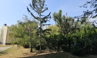 Hier will ich sein in Wiener Neudorf, gartenseitige Wohnung! + Loggia!