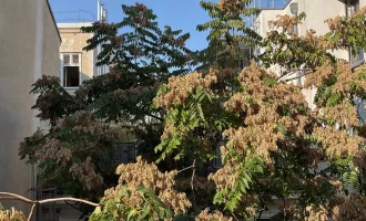 Kleine, feine Stadtwohnung mit geräumigen Innenhofbalkon