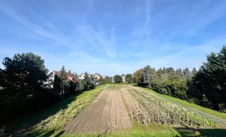 Sehr gepflegte 3 Zimmerwohnung mit Fernblick