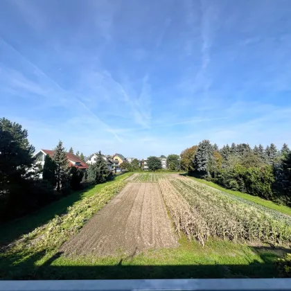 Sehr gepflegte 3 Zimmerwohnung mit Fernblick - Bild 2