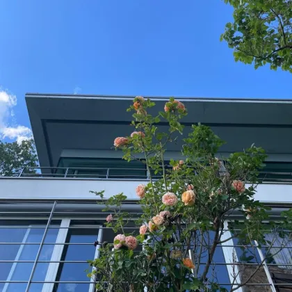 Modern und stilvoll mit prachtvollem Panoramablick Luxus zum Verlieben in Pfarrkirchen - Bild 2