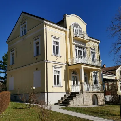 Repräsentative Jahrhundertwende-Villa in Bad Vöslau - Wohnen/Büro - Bild 3