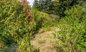 Liegenschaft in Mauerbach am Allerheiligenberg - Ihr Rückzugsort Nahe Wien - Bauträgereignung