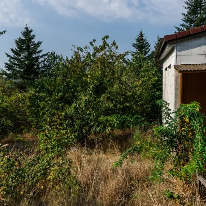 Liegenschaft in Mauerbach am Allerheiligenberg - Ihr Rückzugsort Nahe Wien - Bauträgereignung - Bild 3