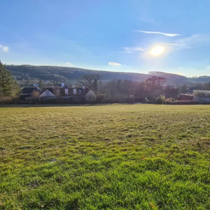 Sonnige Baugründe mit Fernblick in ruhiger Waldrandlage - Bild 2