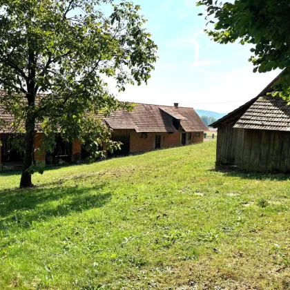 Renovierungsbedürftiges Bauernhaus mit Nebengebäude und Ackerland - Bild 3