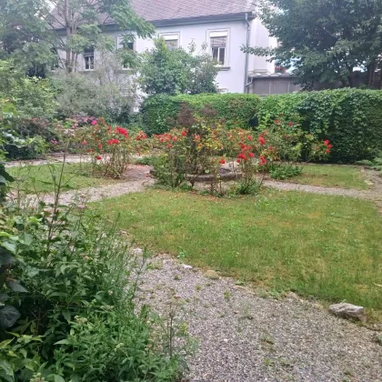 Altbauwohnung mit Terrasse in zentraler Lage - Volksgartenstraße 10/1 zu vermieten - Bild 3