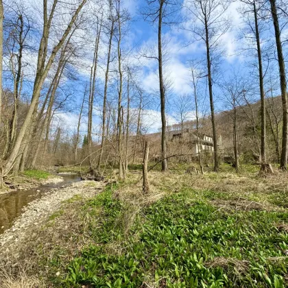 Exklusives Anwesen mit Villa und Badehaus in idyllischer Grünlage am Weidlingbach | Sanierungsbedürftig - Bild 2