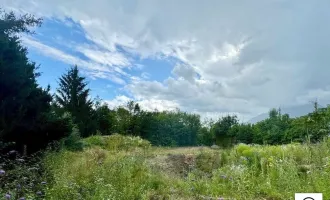 Schöner Baugrund in Anif mit Blick auf den Untersberg