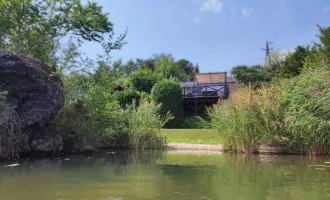 Neufelder See IIIa - Ferienhaus auf Mietgrund - Direkt am See - Eigene Bucht