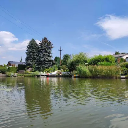 Neufelder See IIIa - Ferienhaus auf Mietgrund - Direkt am See - Eigene Bucht - Bild 3