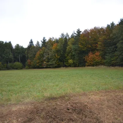 GRUNDSTÜCK zur landwirtschaftlichen Nutzung - Bild 3