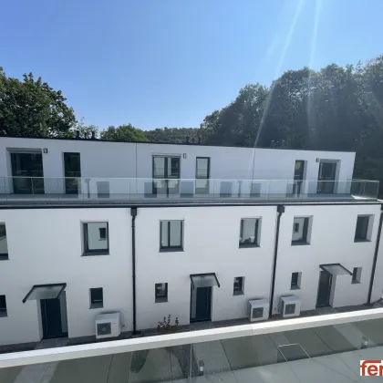 Reihenhaus in Hainburg an der Donau mit Weitblick - Bild 3