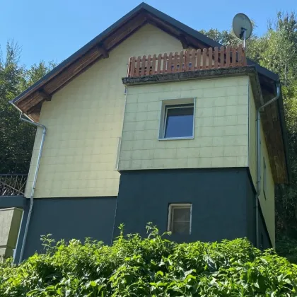 Gemütliches kleines Haus mit Garten und Dachterrasse (Donaublick) - Bild 3