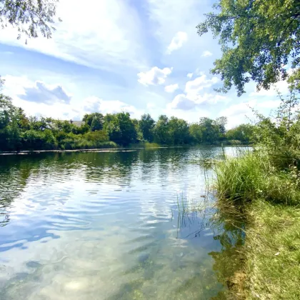 KLIMATISIERTE ERSTBEZUG Dachgeschosswohnung!: I DIREKT AM OBEREN MÜHLWASSER I Gemeinschaftsgarten I  I Neubauprojekt I Lift I Garagenstellplatz - Bild 3