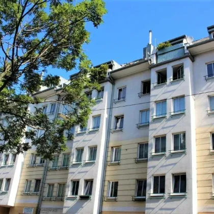 U4/U6-Nähe, HARDTGASSE, 30 m2 Neubau, Einzelwohnraum, Kochnische, Wannenbad, Parketten, Hofruhelage - Bild 2