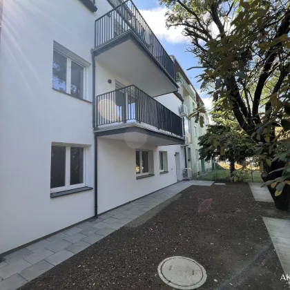 Sechs Neubau-Mietwohnungen mit modernstem Wohnkomfort - Bild 3