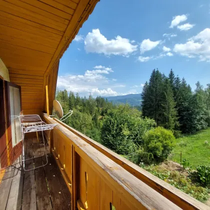 2 ha Liegenschaft in traumhafter Lage (Naturpark Zirbitzkogel-Grebenzen) mit Haus, Stall und Garage - Bild 2