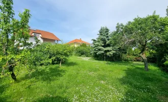 WOW! Erfüllen Sie Ihren Traum vom eigenen Haus! 8 Zimmer + Riesiger Garten + Viel Grün + Traumterrasse mit Fernblick! Mehr Lebensqualität - Mehr vom Leben! Jetzt zugreifen!