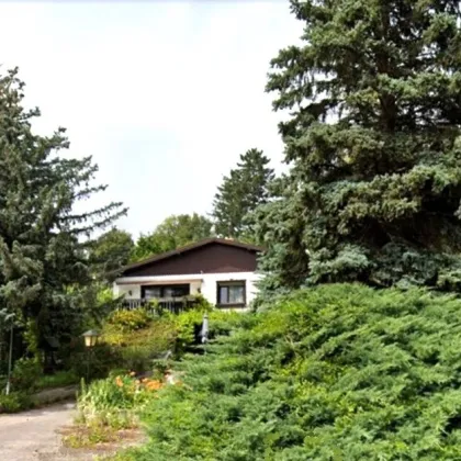 Bungalow auf großem Grundstück nahe Hausleiten - inmitten Natur pur und herrlichem Weitblick! - Bild 3