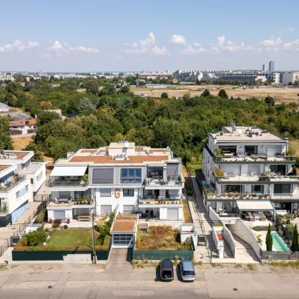 Top Wohnung an der oberen alten Donau - Bild 3