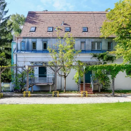 Bestandsfreie Residenz in Döblinger Bestlage - seltene Investmentmöglichkeit! - Bild 2