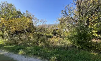 Traditionelles Winzerhaus mit zwei Einfahrten und 1.393 m² Grundstücksgröße - Gumpoldskirchen