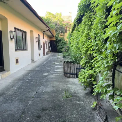 Traditionelles Winzerhaus mit zwei Einfahrten und 1.393 m² Gesamtfläche - Gumpoldskirchen - Bild 3