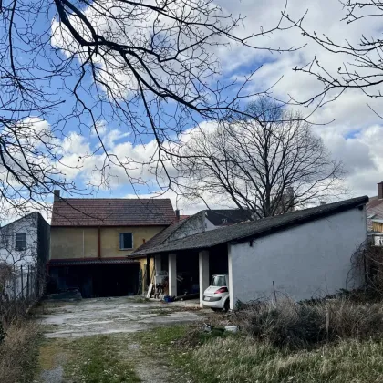 Traditionelles Winzerhaus mit zwei Einfahrten und 1.393 m² Gesamtfläche - Gumpoldskirchen - Bild 2