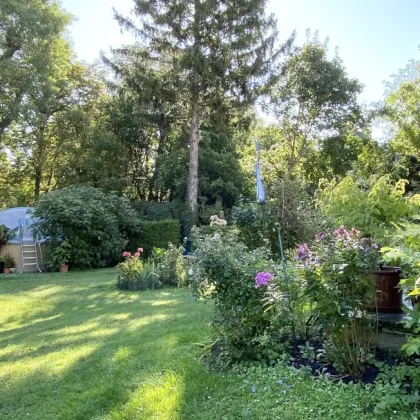 Einfamilienhaus in Speisinger Ruhelage mit großem, schönem Garten zu verkaufen! - Bild 2